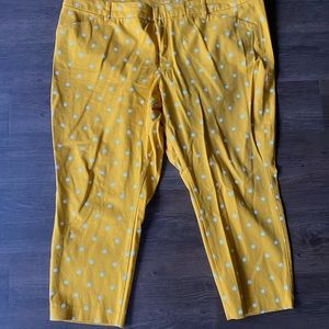 Polka dot pixi pants